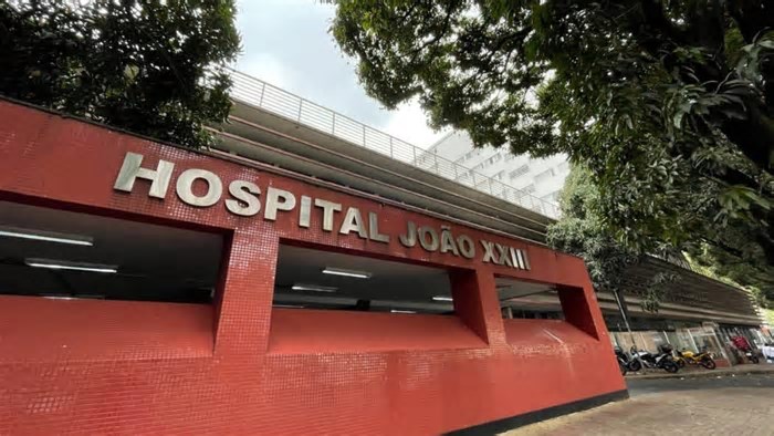 Recém-nascido abandonado e atacado por cães morre em BH