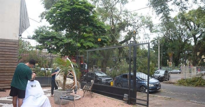 Quedas de árvores e falta de luz após as chuvas afeta o trabalho de profissionais em Porto Alegre