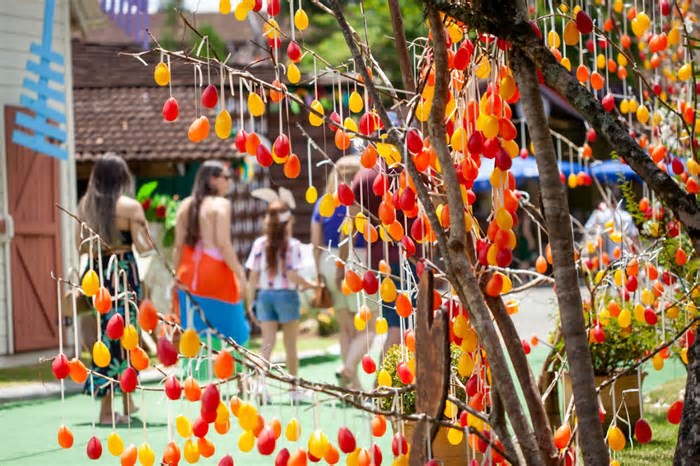 Com novas rotas internacionais, SC impulsiona turismo com feriado prolongado