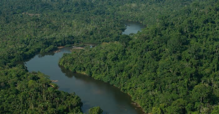 País precisa fortalecer infraestrutura de dados que sustenta a ciência da biodiversidade