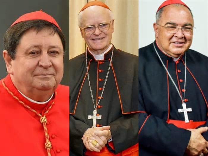 Sete brasileiros estão entre os cardeais que escolherão próximo papa