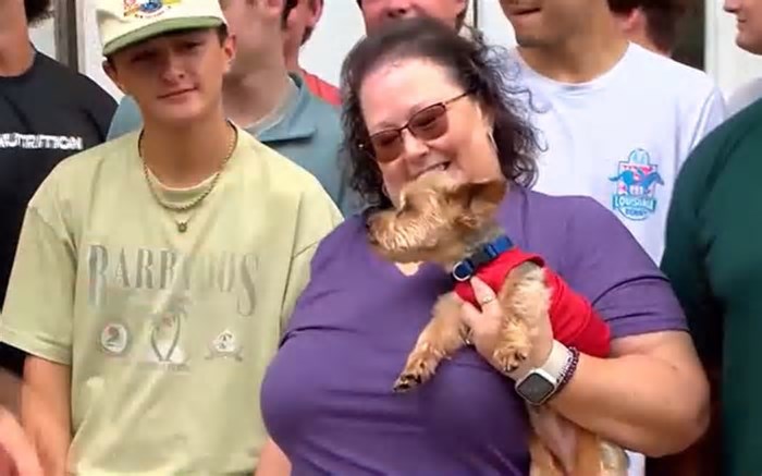 Mulher reencontra cachorro que estava desaparecido há cinco anos