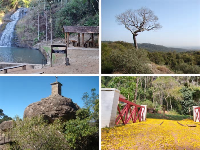 Edital para contratação de consultoria para promoção do turismo em florestas nacionais é relançado