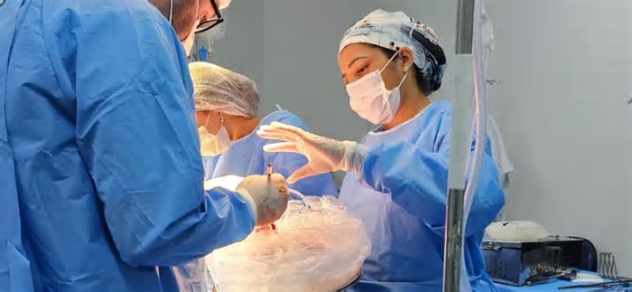 De Catanduva para São José dos Campos - Universidade Brasil e Uniesp apoiam transporte aéreo gratuito de órgão para transplante