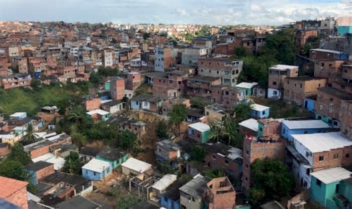 Pau Miúdo, Pau da Bandeira e Pau da Lima: conheça a origem dos nomes curiosos de lugares em Salvador