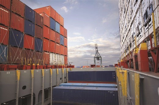 Em menos de 10 anos Brasil poderá responder por 40% das exportações mundiais de carne de frango