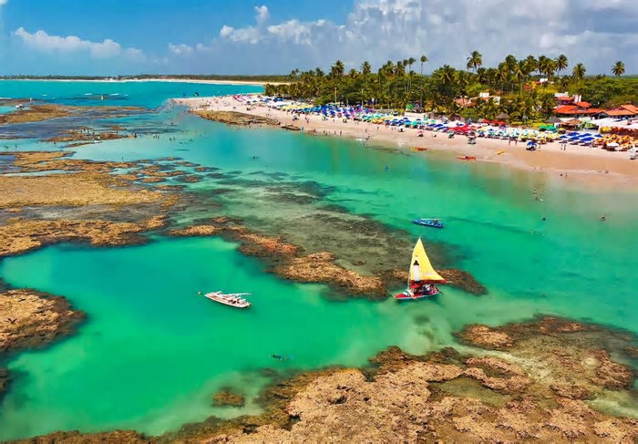 Entre Recife e Maceió: veja roteiro para conhecer as melhores piscinas naturais do Nordeste
