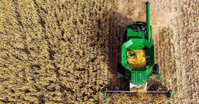 Descoberta abre a possibilidade para aumentar significativamente a quantidade de alimentos produzidos por hectare cultivado