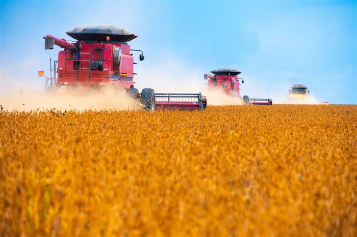 AgroGalaxy tem plano de recuperação judicial aprovado em assembleia