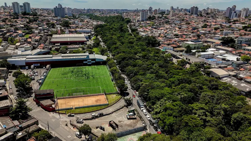 A floresta que 'brotou' no meio do entulho em São Paulo com plantio de 41 mil mudas