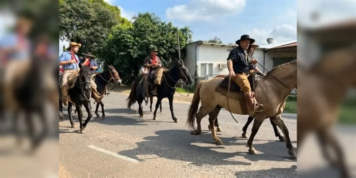 Ataque de abelhas deixa pessoas feridas e dois cavalos mortos em evento no RS