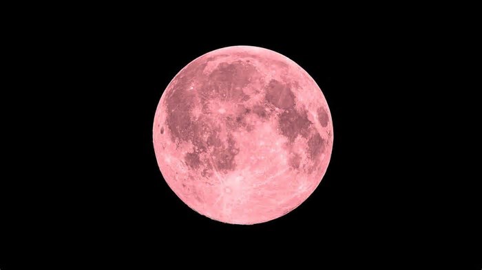 Não se assuste ao ver uma “Lua Rosa” no céu neste domingo (13)