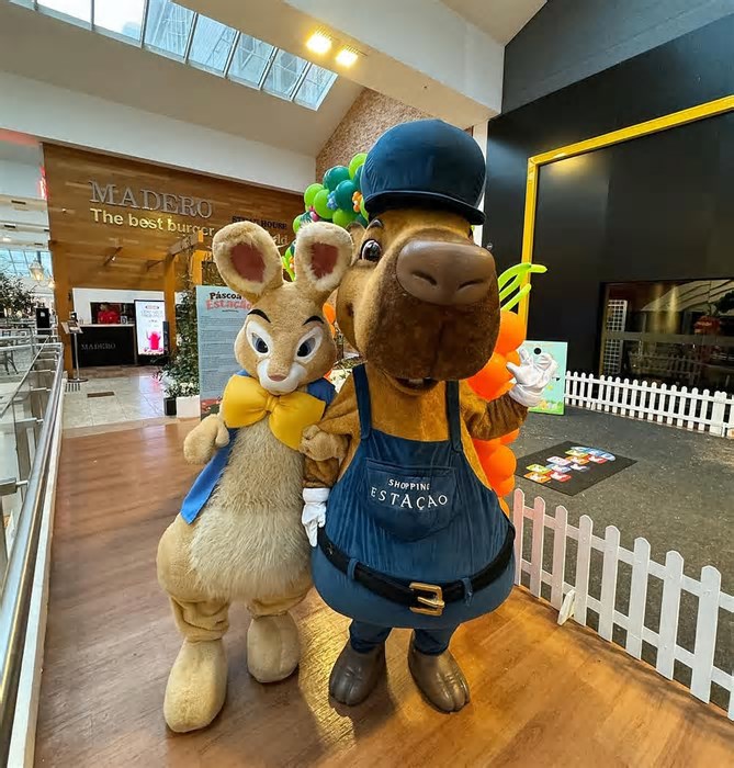 Café com o Coelho e oficinas de biscoito em formato de coelho e de capivara são atrações gratuitas do Shopping Estação