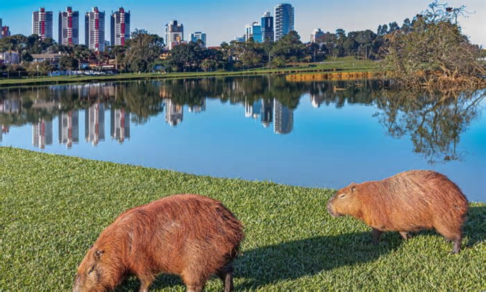 Essas cidades estão redefinindo o futuro econômico do Brasil