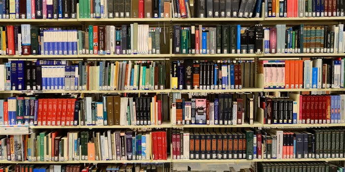 Rio abre oficialmente o calendário como Capital Mundial do Livro