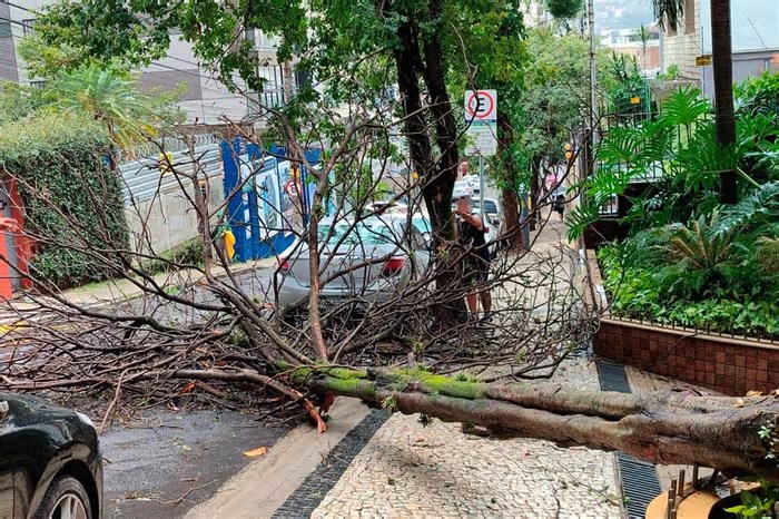 Com ventos de quase 100 km/h, chuva forte com queda de granizo causa estragos em Juiz de Fora