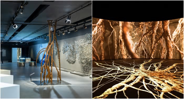 Casa Fiat recebe exposição que reflete sobre a conexão entre humanos e a natureza em BH