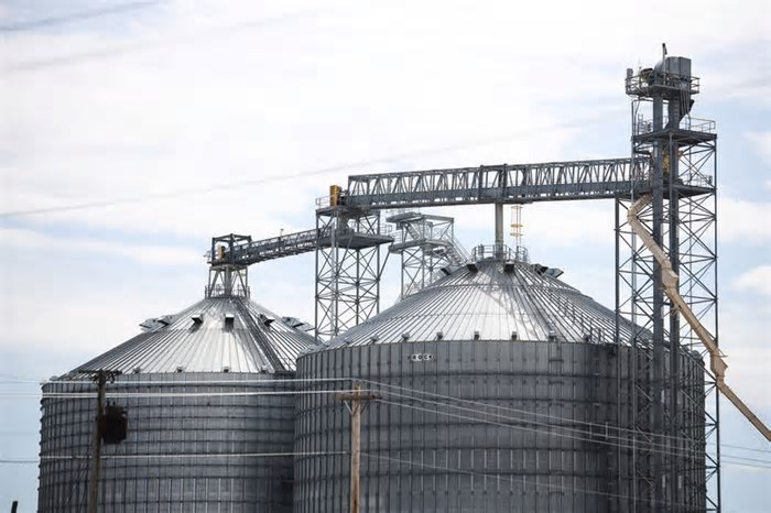 Cargill projeta maiores volumes no Brasil em 2025 após prejuízo; já opera novo porto