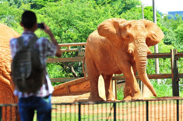 Jardim Botânico e Zoológico de Brasília mais do que dobraram o número de visitantes com programa Lazer para Todos