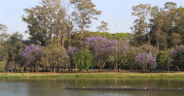 Feriadão: saiba o que tem para fazer em seis parques de SP