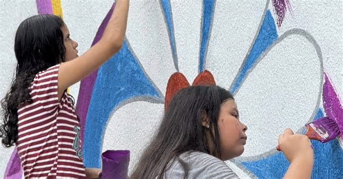 Projeto 'Cores do Pará' renova o cenário periférico de Belém
