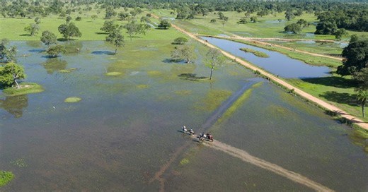5 regiões pantanosas para conhecer pelo Brasil
