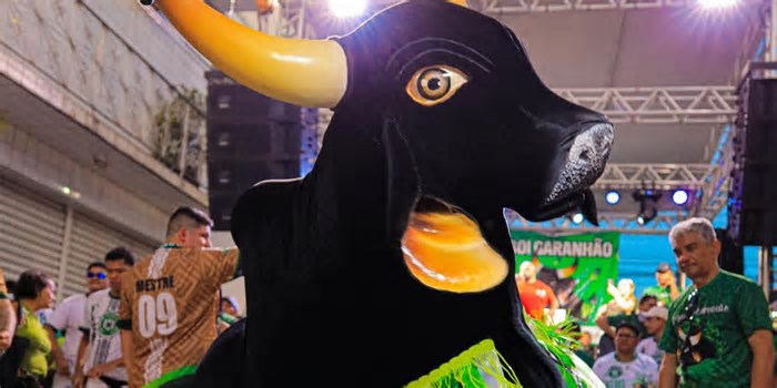 Boi Garanhão realiza festa de lançamento do tema 2025 neste domingo