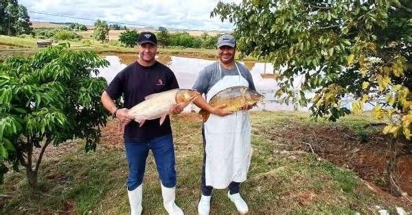 Mais de 2,5 mil toneladas de pescado devem ser comercializadas até a Páscoa no RS