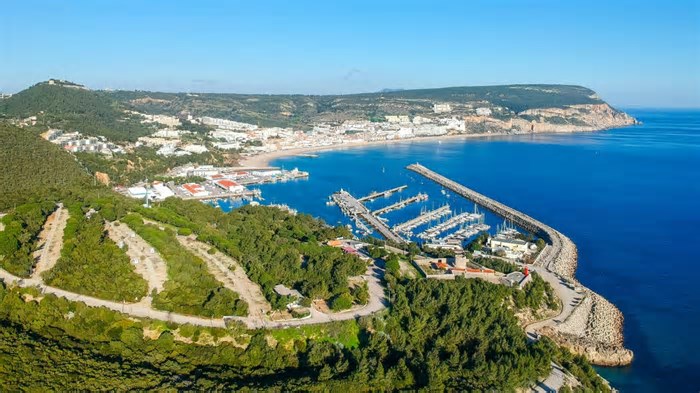 O segredo do Moscatel de Setúbal: o que torna esse vinho tão especial?