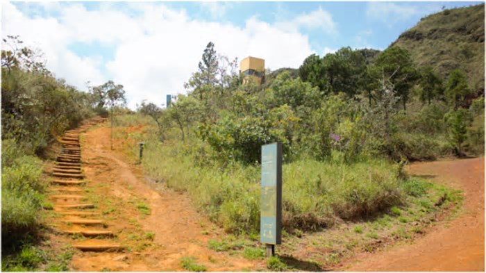 Parque da Serra do Curral, em BH, terá trilha guiada no próximo sábado