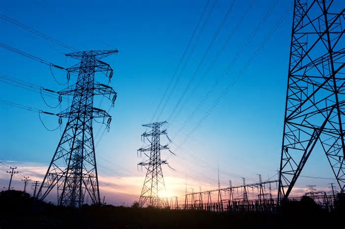 Bússola & Cia: queda de energia eleva vendas da Elgin