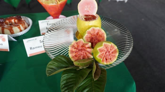 Concurso de Receitas com Goiaba chega à 5ª edição neste sábado (5)