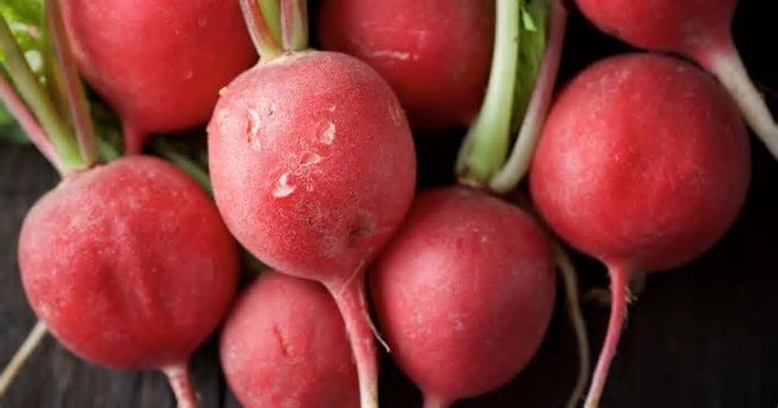 6 benefícios do rabanete para a saúde