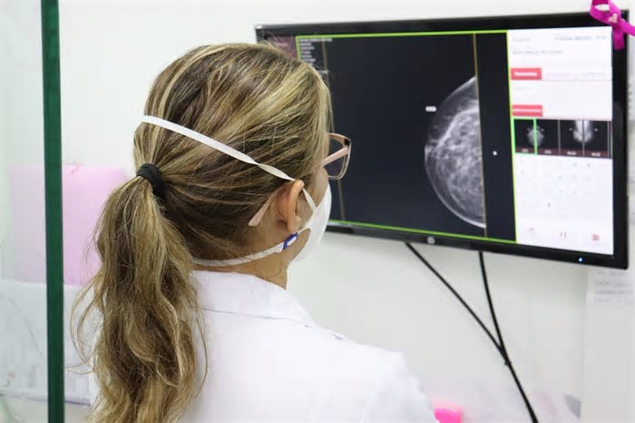 Qualificação profissional, exames de mamografia, renegociação de dívidas e atendimento jurídico são serviços gratuitos no Grande Recife