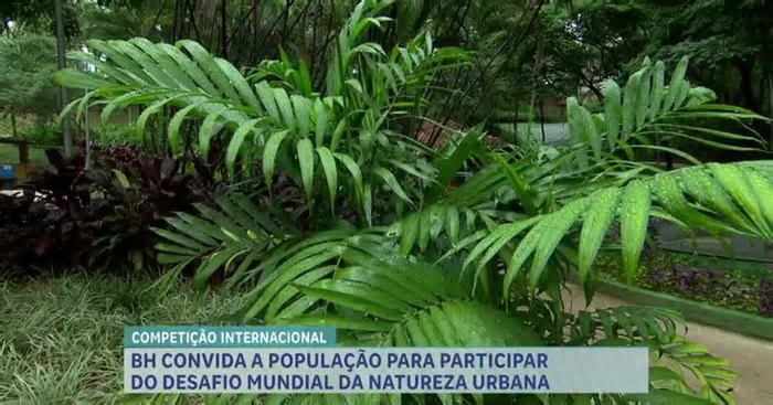 BH participa de desafio de natureza urbana que propõe descoberta da biodiversidade local