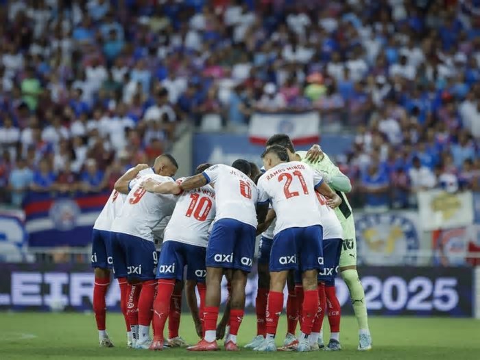 Bolívar x Palmeiras e Bahia x Atlético Nacional: saiba onde assistir aos brasileiros na Libertadores