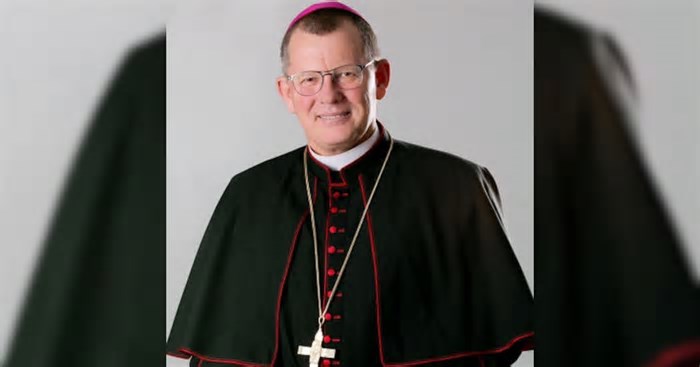 Saiba quem são os sete cardeais brasileiros que participam da escolha do novo papa