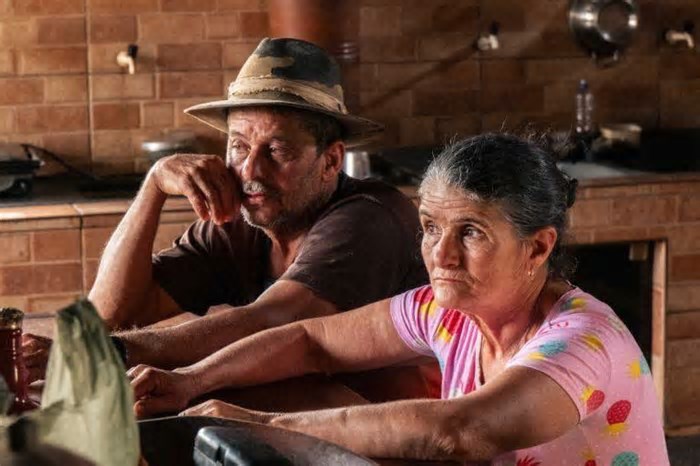 Grande sertão, sem veredas: ‘aço verde’ que brilha na Europa seca o Jequitinhonha
