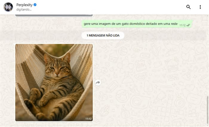 Competição? IA da Perplexity chega ao WhatsApp; veja como usar