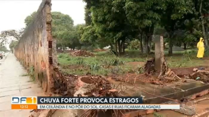 Por que há mais árvores no centro de Brasília do que nas outras regiões do DF? Veja imagens