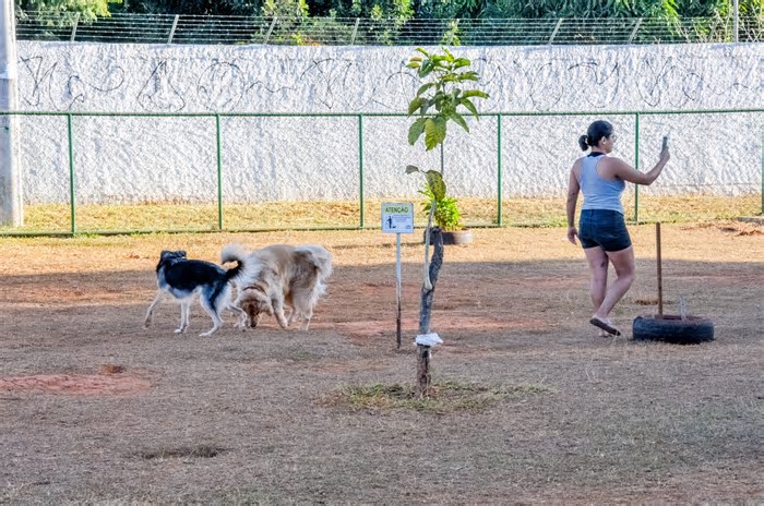 Cruzeiro terá Rua de Lazer e 3ª edição da Cãominhada no domingo (13)