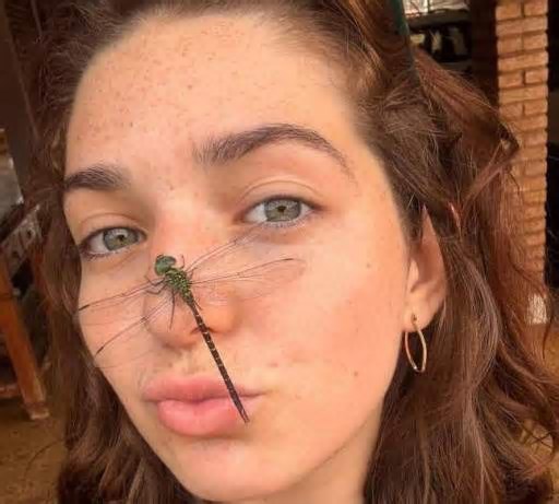 Vídeos de estudante de Andradina sobre artrópodes viralizam nas redes sociais