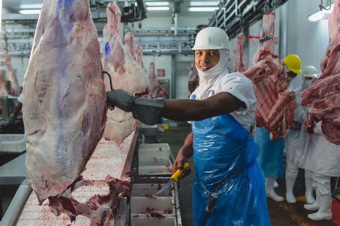 Plena Alimentos abre 40 vagas de emprego em Contagem