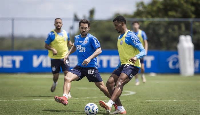 Bahia está pronto para enfrentar o Atlético Nacional; veja provável time