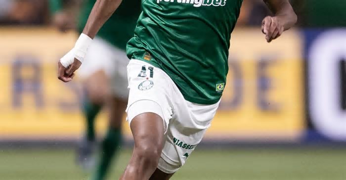 Bolívar x Palmeiras: onde assistir, horário e escalações