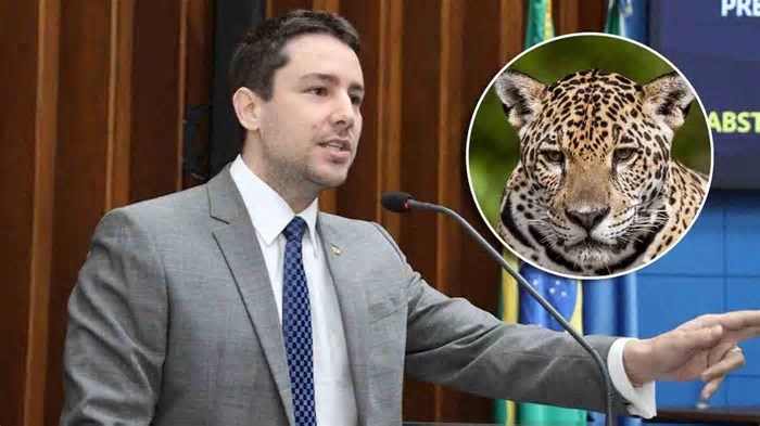 'Lei da Onça': Após morte de caseiro, deputado apresenta projeto de proteção a animais e produtores