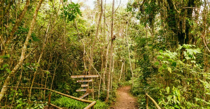 São Paulo inaugura trilha com 182km de extensão em meio à natureza