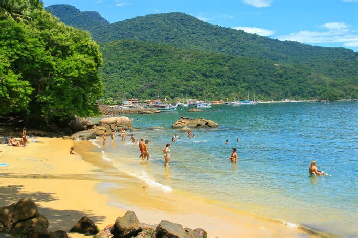 Além das paradisíacas praias, Ilha Grande é agora área de conservação de morcegos