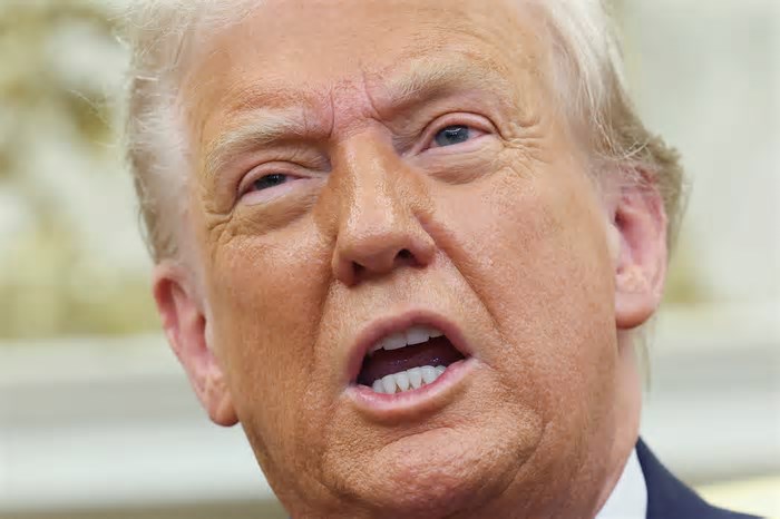 Trump diz que Harvard 'perdeu o rumo' e acusa universidade de contratar 'idiotas'