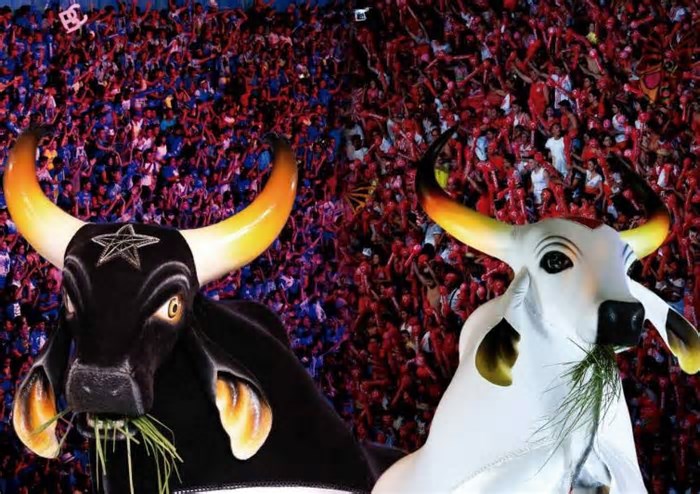 Caprichoso e Garantido lançam Festival de Parintins na Ilha Tupinambarana